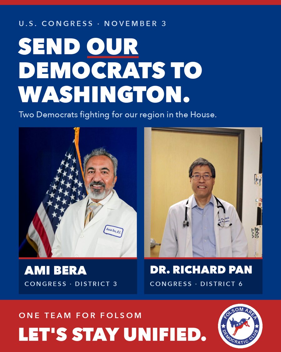 Send our Democrats to Washington